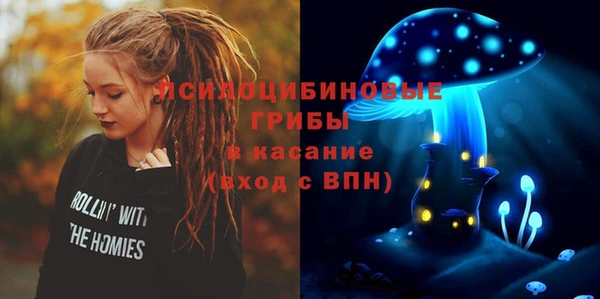шишки Арсеньев