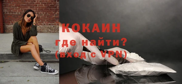 шишки Арсеньев