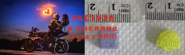 шишки Арсеньев