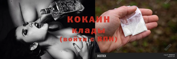 шишки Арсеньев
