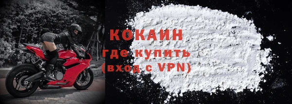 шишки Арсеньев
