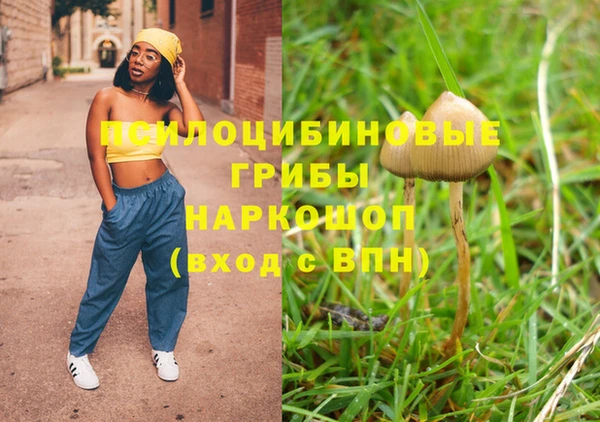 винт Алзамай