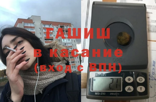 гашик Алексин