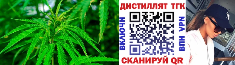 Дистиллят ТГК гашишное масло  kraken как зайти  Георгиевск 
