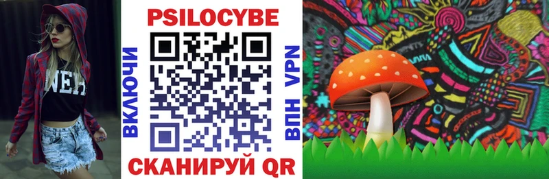 Псилоцибиновые грибы ЛСД Георгиевск